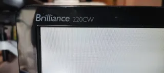 Philips Brilliance 220CW Monitor