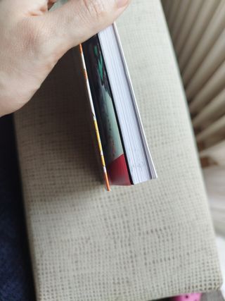 GUARDIANES DE LA NOCHE - LA FLOR DE LA FELICIDAD NOVELA