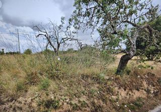 Terreno en venta en Porreres