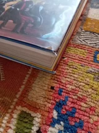 Harry Potter y la Orden del Fénix (ilustrado)