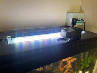 Acuario panorámico  con decoración y accesorios