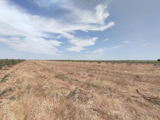 Terreno en venta en Membrilla