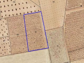 Terreno en venta en Membrilla