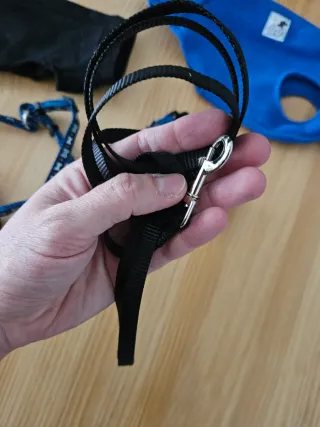 Lote Ropa arneses correa para cachorro perro gato