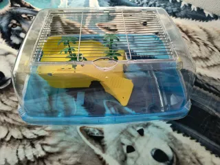 Tortuguera Acuario Transparente Azul