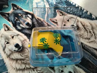 Tortuguera Acuario Transparente Azul