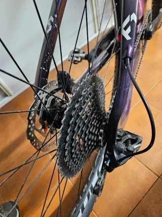 Bicicleta MTB Olympia Carbono