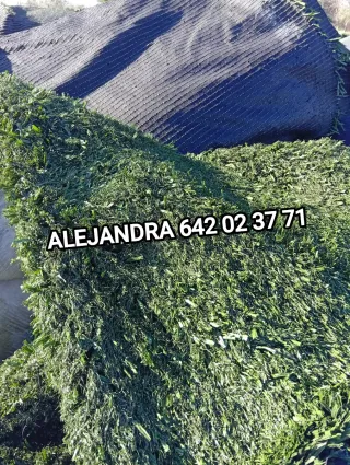 Césped artificial reciclado