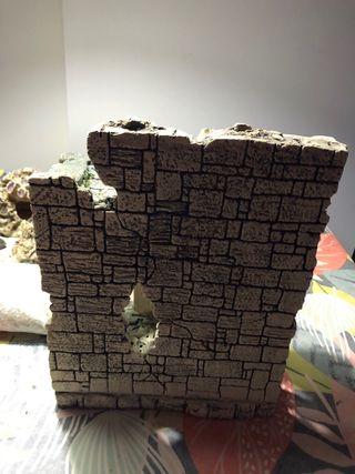 Ruinas grande pecera acuario