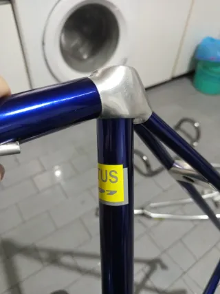 Cuadro Vitus 797 Dural