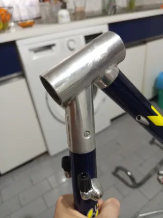 Cuadro Vitus 797 Dural