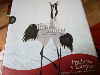 Estepas y praderas. Reino animal instinto de super