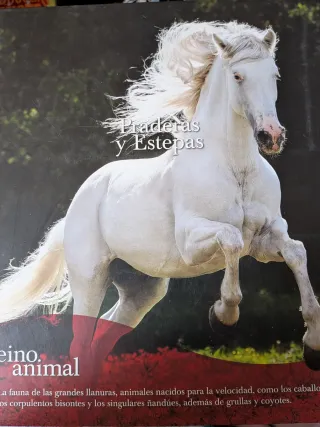 Estepas y praderas. Reino animal instinto de super