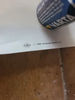 Póster Bud Light Spuds MacKenzie