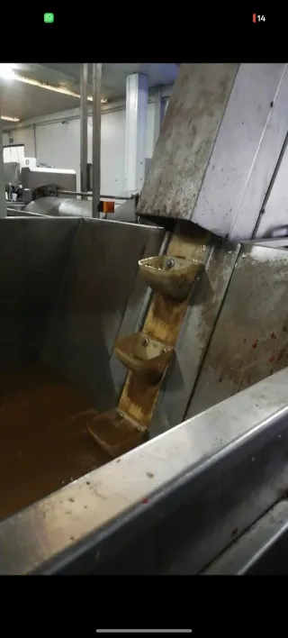 Línea de envasado aceitunas