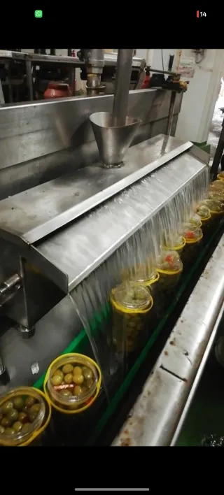 Línea de envasado aceitunas