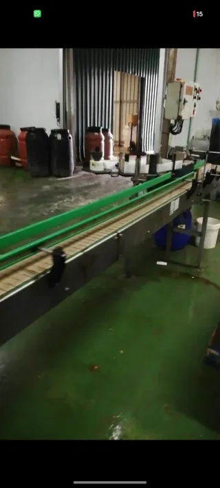 Línea de envasado aceitunas