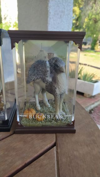 Figuras Harry Potter reservadas a Marc