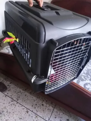 Jaula Transportín Perros Negro y Multicolor