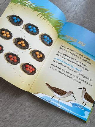 Libro Juego ¿cuantos Ves Del Derecho O Del Revés?