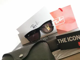 Ray-Ban Wayfarer Reverse 0502S