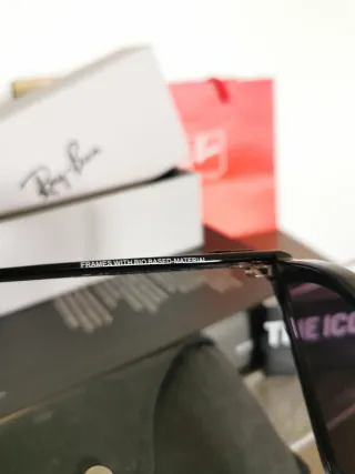 Ray-Ban Wayfarer Reverse 0502S