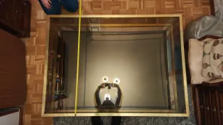 Chollo Mesa Centro Latón Vintage Cristal