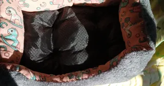 Cama para perro/gato gris y rosa