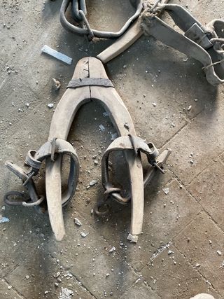 Yugo antiguo para animal