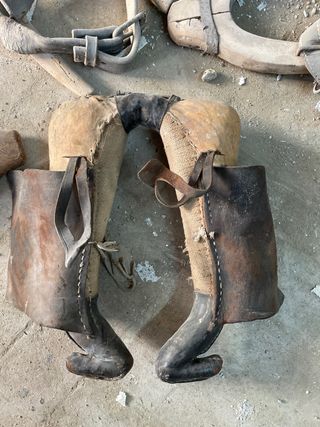 Yugo antiguo para animal