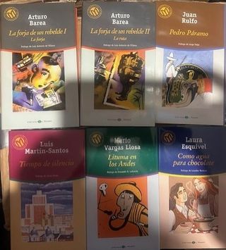 Pack de 25 Libros - Biblioteca El Mundo