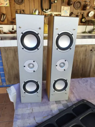 Altavoces 100W 8 Ohm 3 Vías (2 unidades)