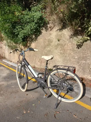 Bicicleta MBM Primavera