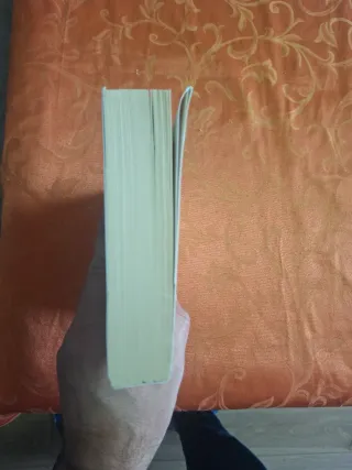 El niño que venció a brujas y dragones