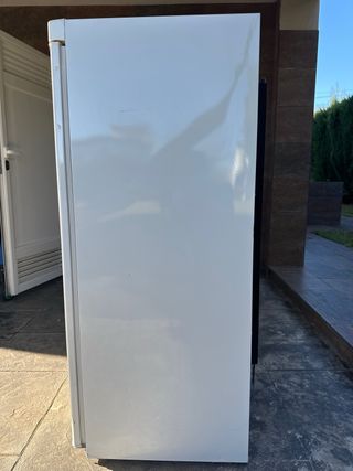 Congelatore verticale Edesa con 5 cassetti