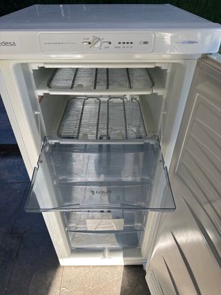 Congelatore verticale Edesa con 5 cassetti