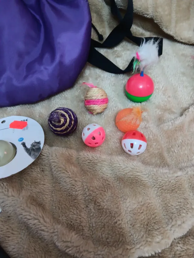 Juguetes para gatos, mochila sin estrenar de paseo