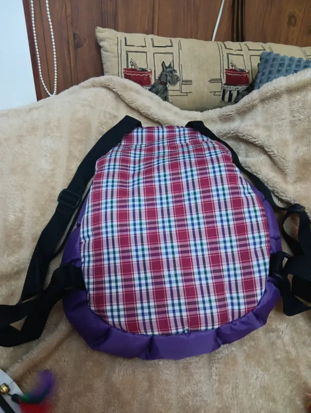 Juguetes para gatos, mochila sin estrenar de paseo