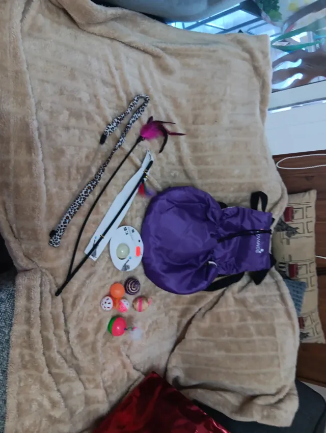 Juguetes para gatos, mochila sin estrenar de paseo
