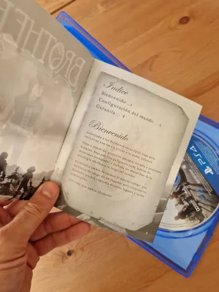 🇪🇸 Brothers: A Tale of Two Sons PS4