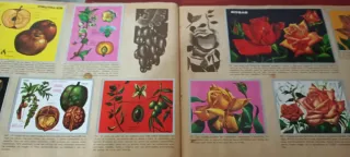 Álbum El Maga de Ciencias