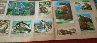 Álbum El Maga de Ciencias