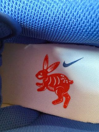 Nike Dunk Low Year of the Rabbit 2023
