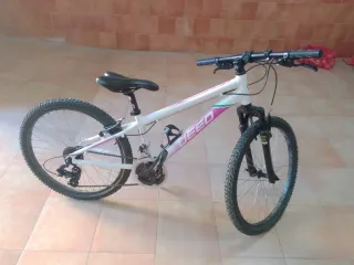 Bicicleta de montaña
