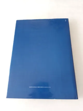 I viaggi di Gulliver romanzo fantastico e satirico