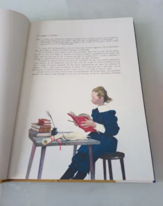 I viaggi di Gulliver romanzo fantastico e satirico