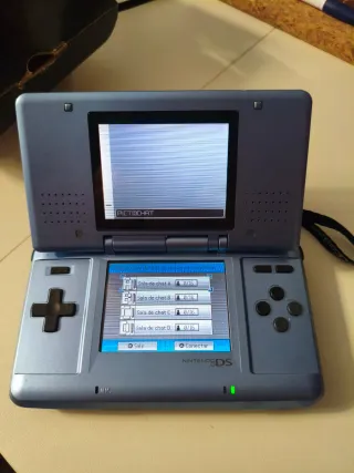 2 Nintendo DS Fat con Caja