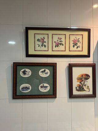 Set de 3 Cuadros Decorativos