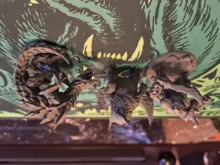 Dungeons and dragons Lote Figuras PVC D&D