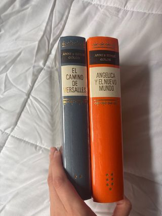 Dos libros de la saga Angélica